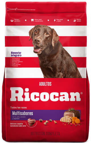 Ricocan Multisabores Toda raza Adulto 15kg